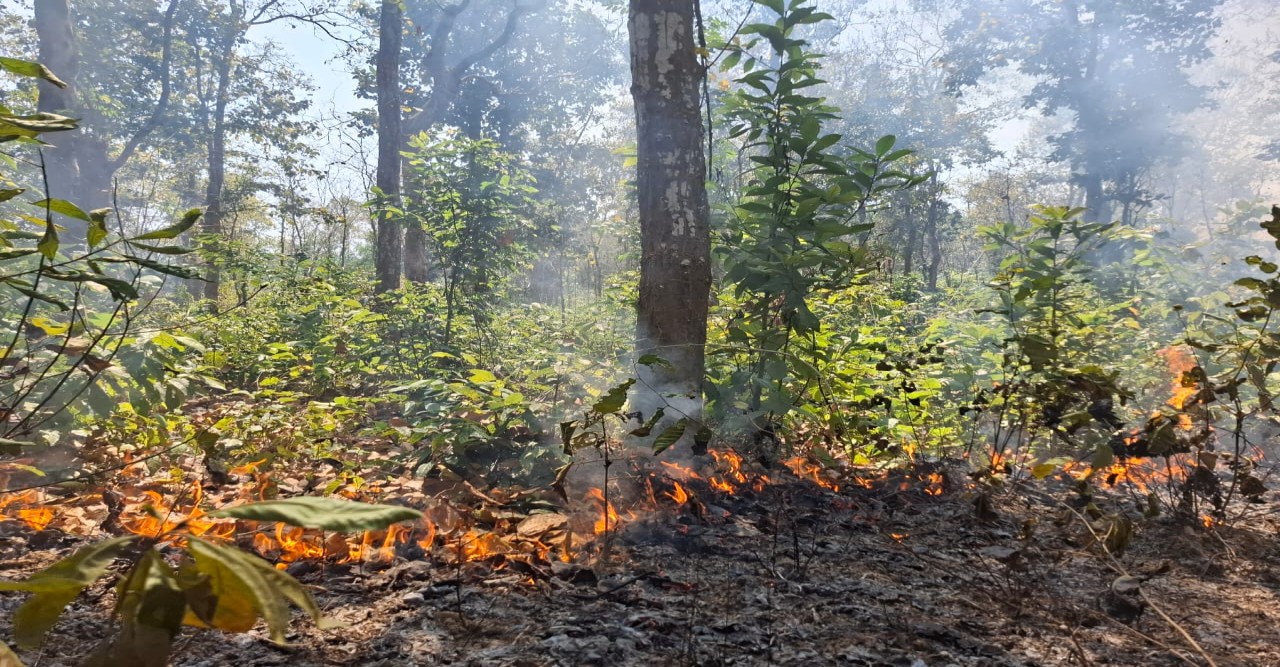 শেরপুরে গারো পাহাড়ে আগুন ; নেপথ্যে শালবাগান ধ্বংসের পায়তারা ও জবরদখলের অভিযোগ !