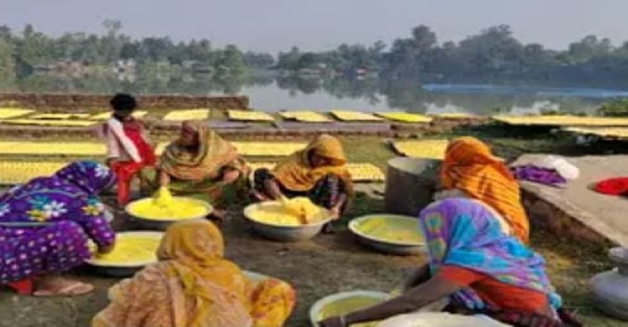 শীত এলেই সিরাজগঞ্জে কুমড়ার বড়ি তৈরিতে ব্যস্ততা বৃদ্ধি পায়