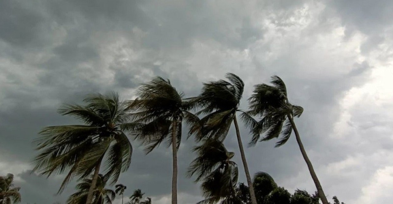 বৃহস্পতিবার সকালে প্রবল ঘূর্ণিঝড়ে রূপ নেবে ‘দানা’