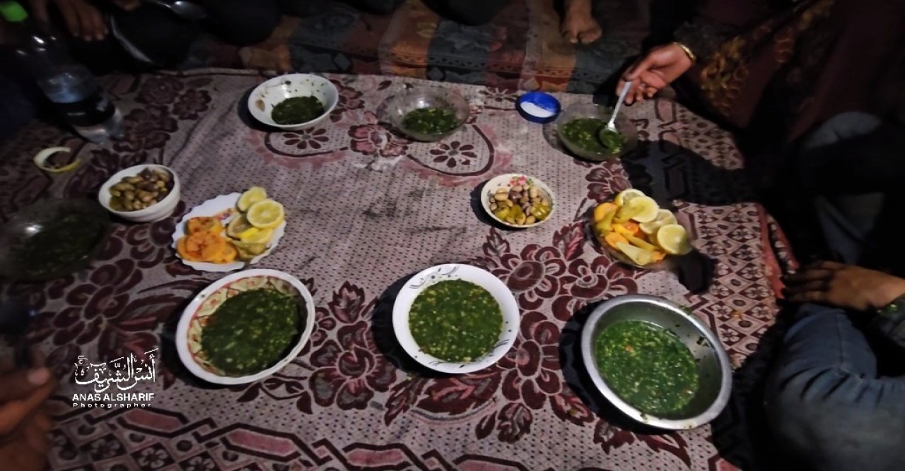 Palestinians are being forced to eat grass