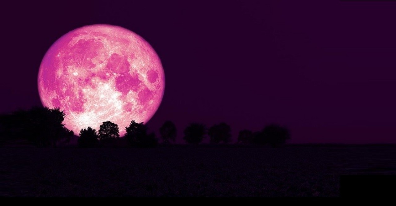 Pink moon in the sky tonight