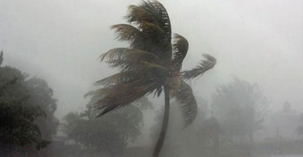 Rain with gusty wind in 12 districts of the country, warning signal issued